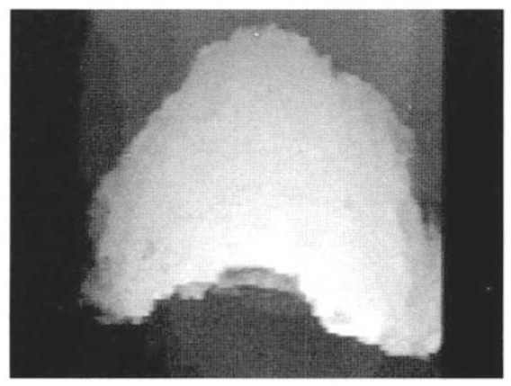 Fig. 6 – Dense disparity map of the test sherd.