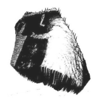 Fig.11 – Dense range image of the test sherd.