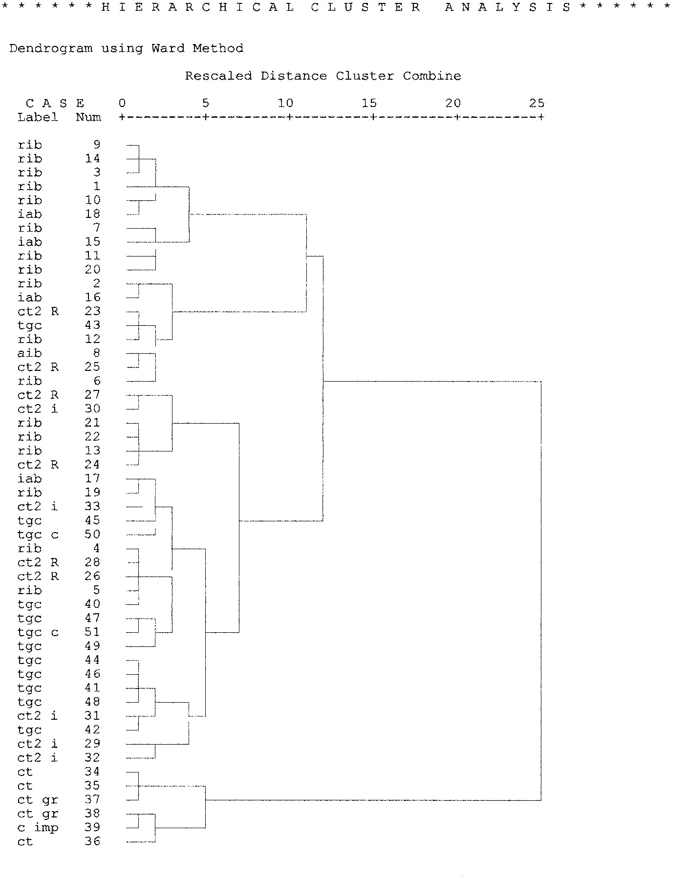 Fig. 4 – Cluster relativo alle produzioni della fase VII.