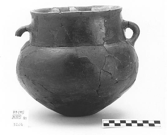 Fig. 10 – Olla, non tornita. Impasto “rosso-nero”, fase VI B1.