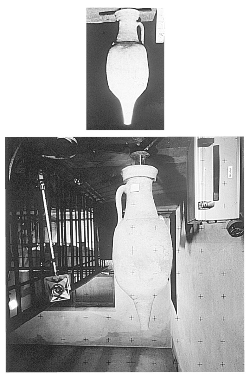 Fig. 11 – Sezione sottile diP16, illuminata conNicols incrociati.