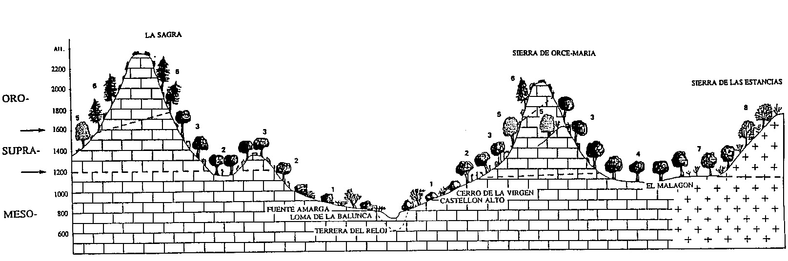 Fig. 1 – Plan of the Depression of Baza showing sites.