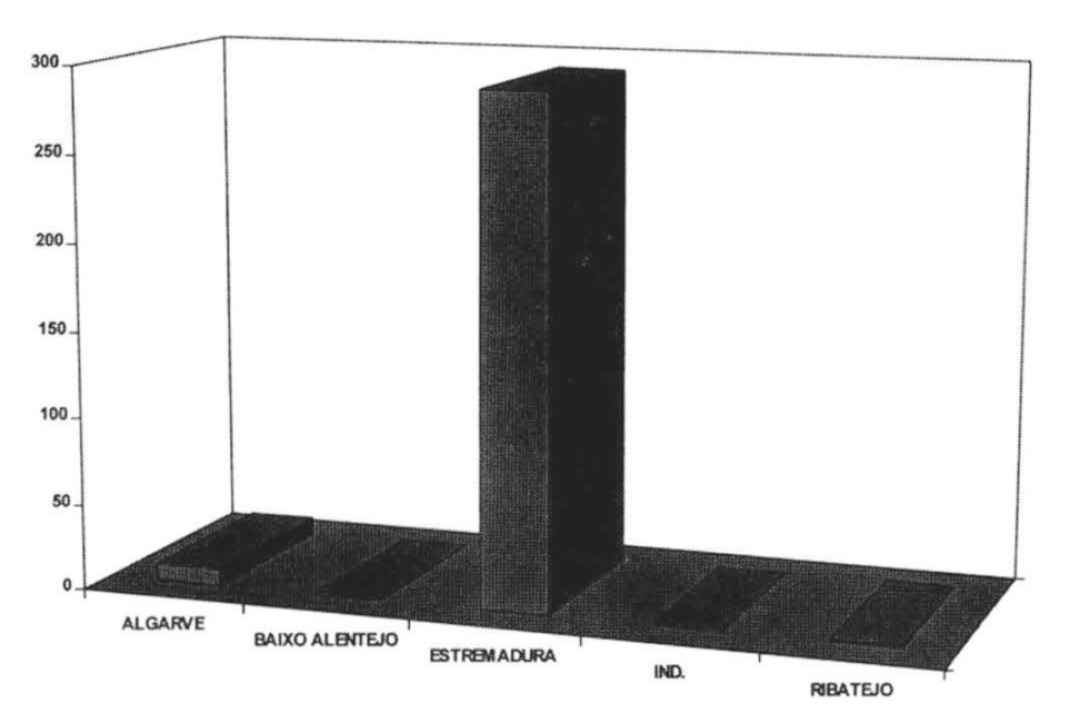 Fig. 3 – Different aspects of eyes-shape in cylindrical figures.