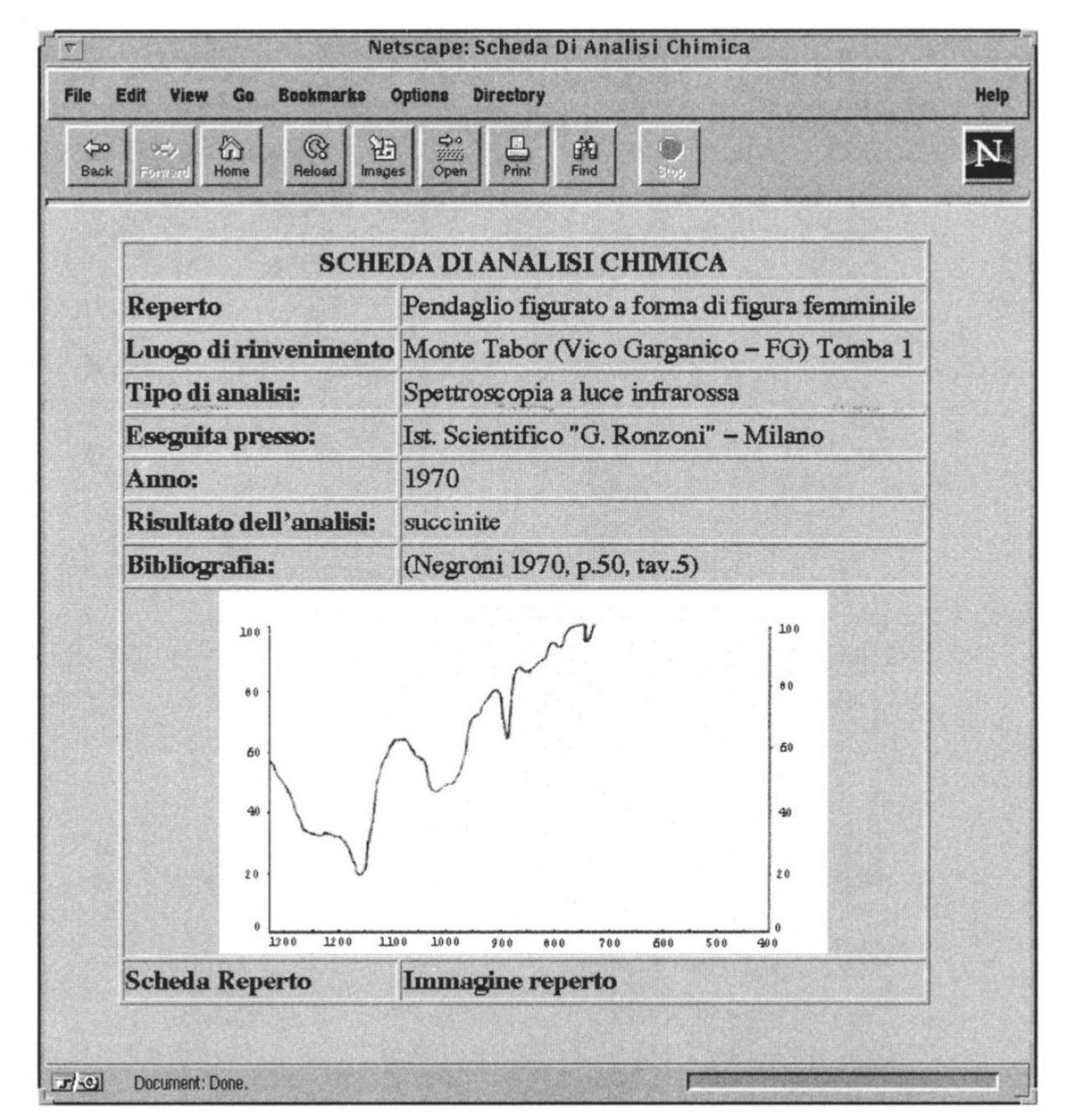 Fig. 2 – Scheda di analisi chimica.