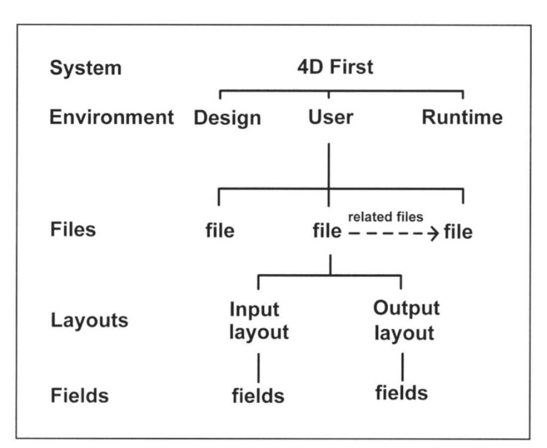 Fig. 1 – Basic structure of 4D First.