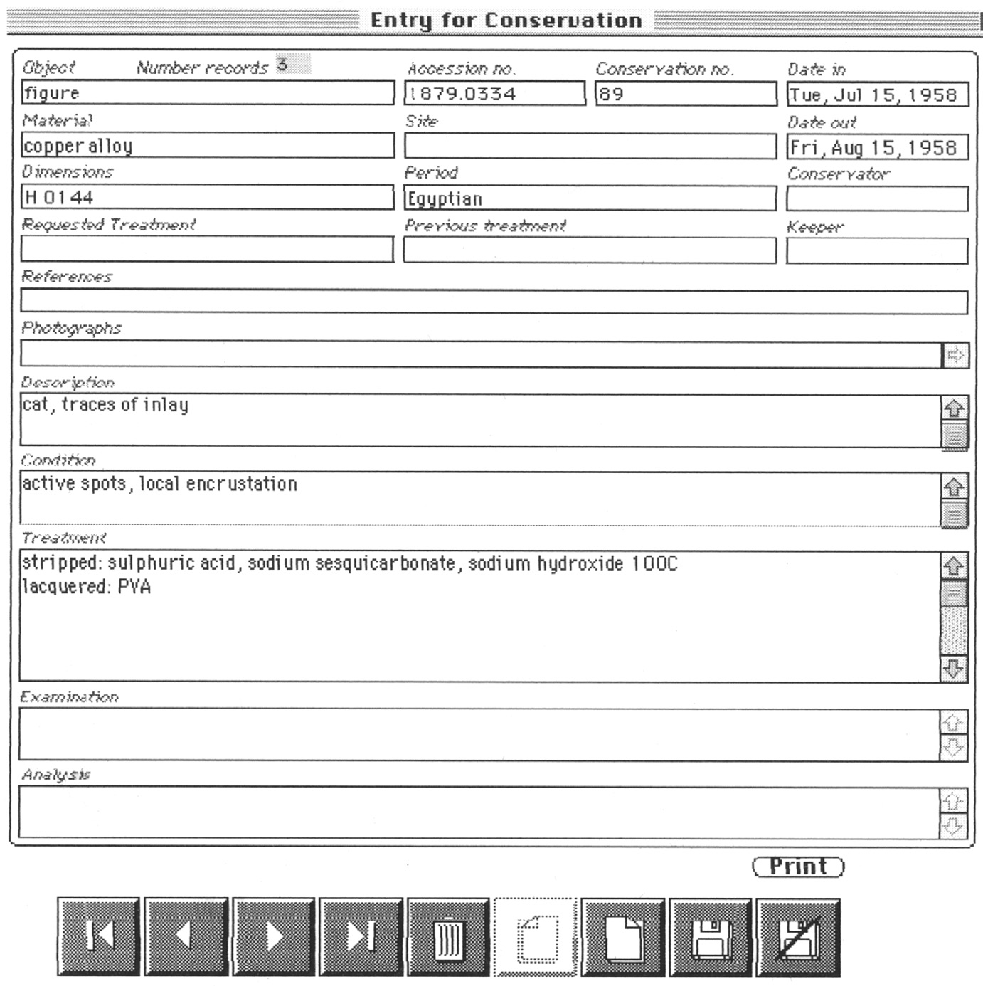 Fig. 3 – Input layout for Conservation file.