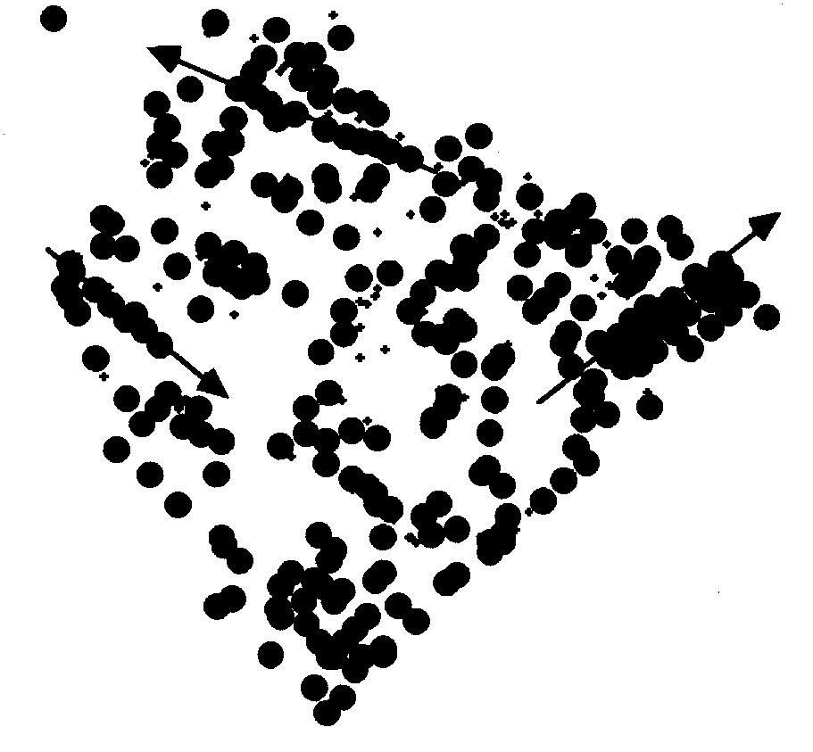 Fig. 9 – Variable 9:rite indéterminé.