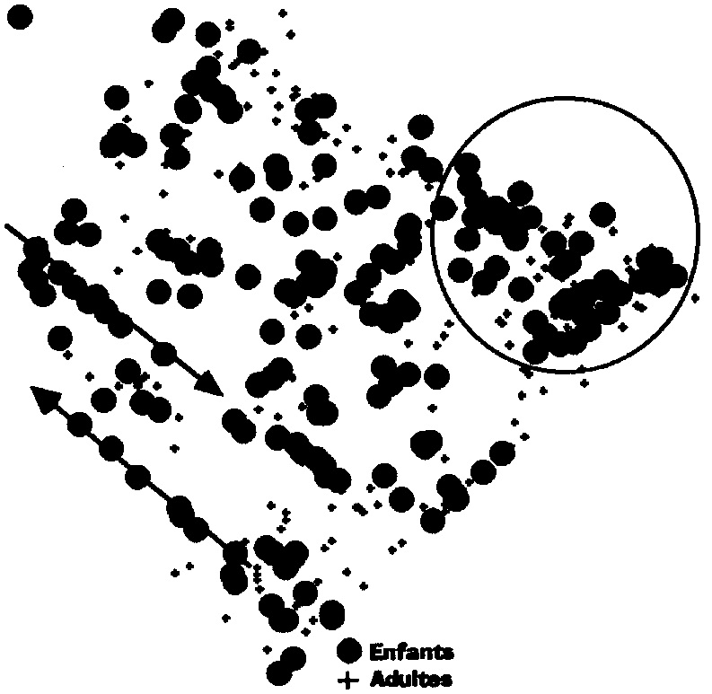 Fig. 10 – Variable 10: enfants. Variable 11: adultes.