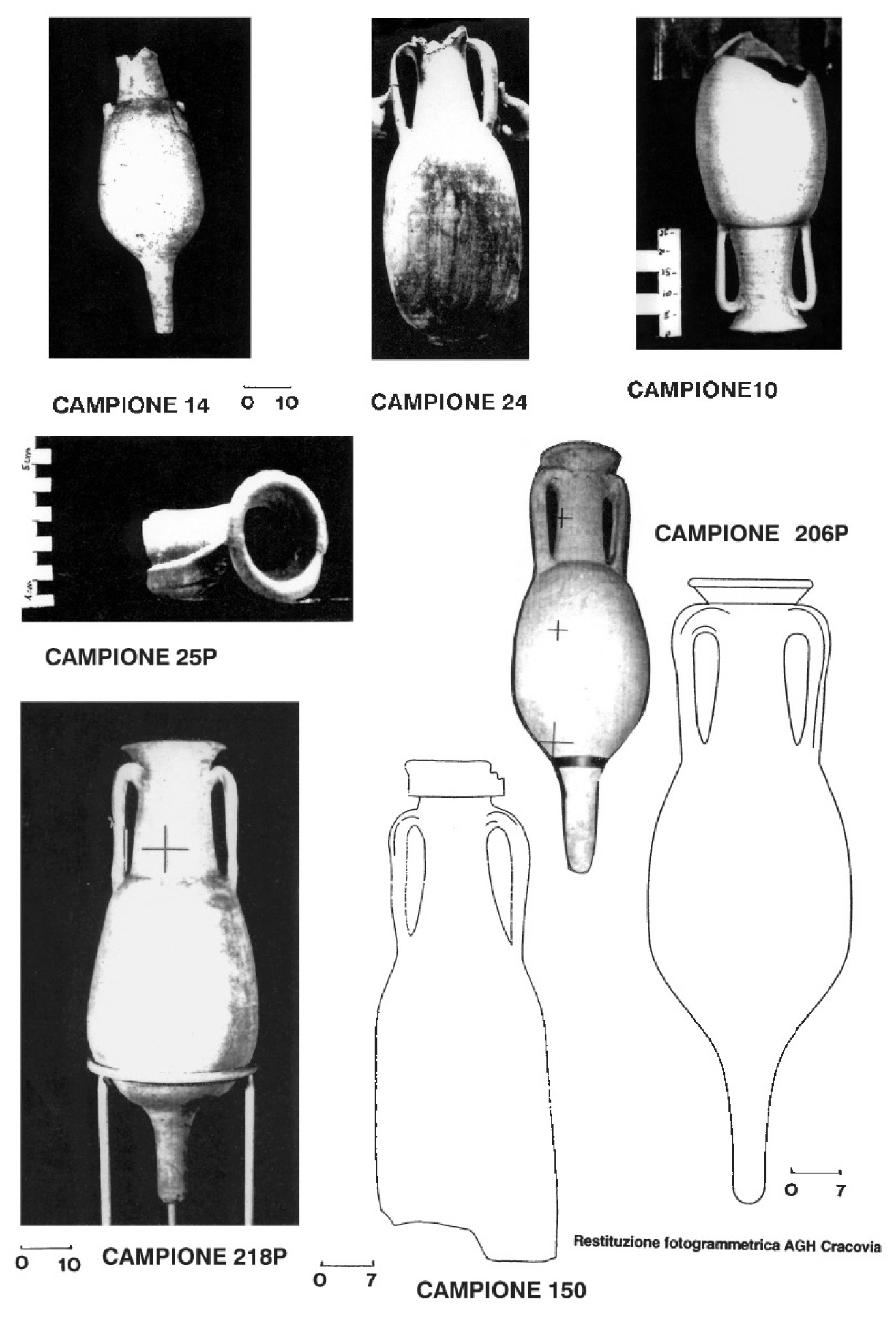 Fig. 2 - Insieme delle anfore dei tipi Dr 7-12 (campioni 14, 24, 10, 25, 25P, 206P, 218P, 150).