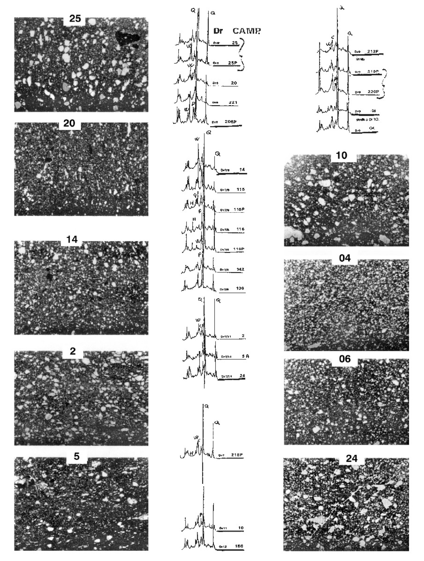 Fig. 4 - Difrattogrammi semplificati delle anfore studiate e fotografie di sezioni sottili a nicols paralleli.