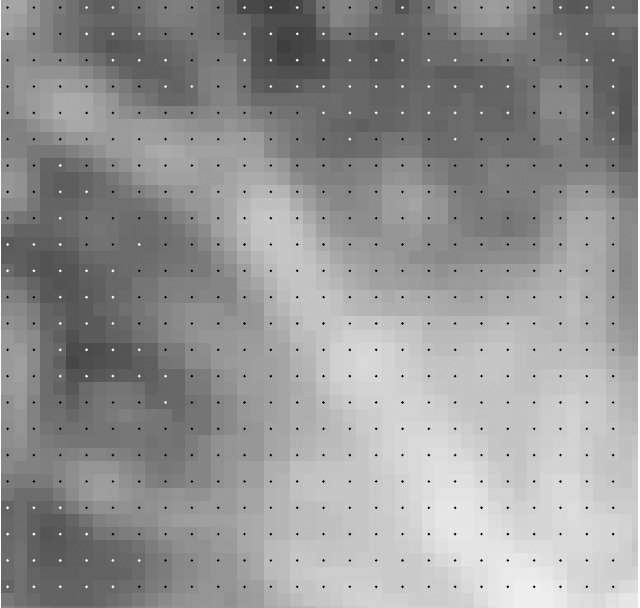 Fig. 2 – Representation of some node groups on the map. A word (lemma) corresponds to each white spot. The nodes selected by the mouse show the associated lemmas. An appropriate graphical interface, not realized in this phase, makes it possible to convert these groups in text files which can be consulted easily for operations aimed at checking the performance of the network and to apply any necessary correction to the system. The examples examined in section 3 have been drawn from the white-node clusters of lemmas.