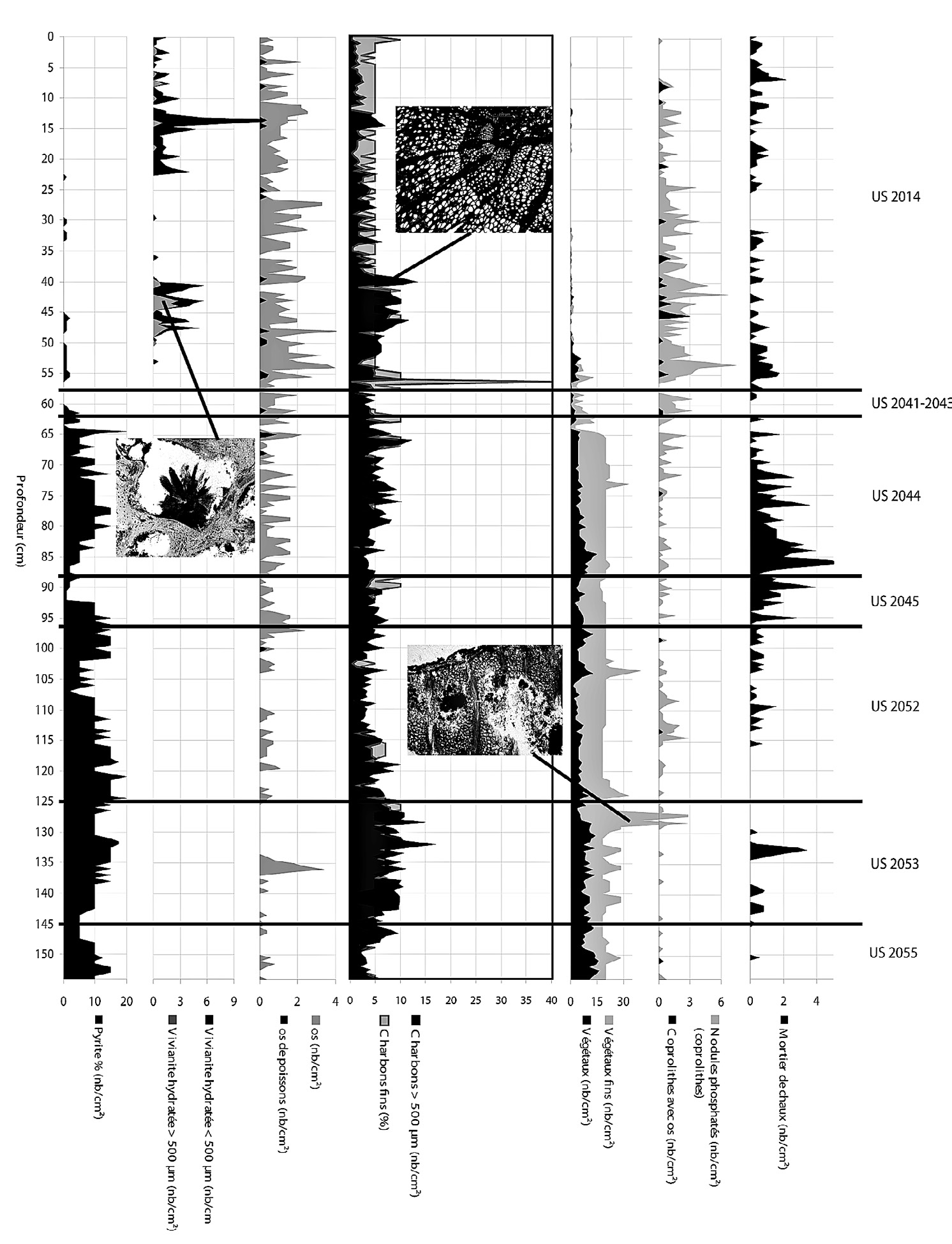 Fig. 1 – Extrait d’un diagramme figurant les interfaces des unités stratigraphiques et les fréquences des micro-constituants observés en lame mince (place A. Briand, Noyon). Chaque micro-constituant qui est présenté ici en nombre par centimètre carré (nb/cm²) a initialement été compté grâce à un tableau d’enregistrement. Les micro-constituants présentés en pourcentage (charbons fins), sont quantifiés grâce à des abaques. Sur l’ensemble de cette séquence de plus de 1,50 m de terres noires, il est possible d’observer la corrélation ou l’indépendance des fréquences avec les unités stratigraphiques. Par exemple, les US 2041-2042 sont bien corrélées avec un déficit de micro-constituants, excepté de nodules phosphatés. Ces US constituent un micro-litage de surfaces d’occupations à l’intérieur d’un bâtiment de la fin du premier Moyen Âge (IXe-Xe siècles). Par contre, les distributions de la pyrite de fer et des végétaux sont indépendantes des limites des US, car liées à l’engorgement en eau du bas de la séquence. Quant à la vivianite, les deux pics de concentration au sein de l’US 2014 précisent l’organisation interne de cette US. Ils indiquent une présence très importante de jus phosphatés et permettent d’estimer le niveau de battement de l’aquifère.