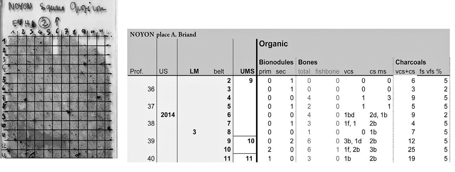 Fig. 4 – A gauche: Scan de lame mince portant un quadrillage de comptage (0,5×0,5 cm). A droite: Extrait d’un tableau d’enregistrement des comptages réalisés sur des lames minces de sédiments archéologiques de la place Aristide Briand à Noyon (fouilles M.-C. Lacroix), présentant la nature, le nombre et l’état des constituants. La surface de chaque lame mince est divisée horizontalement en bandes de 0,5 cm de hauteur. Pour chaque bande, les constituants sont comptés et le total est reporté dans le tableau présenté ci-dessus. Sur l’extrait présenté ici se trouvent, de gauche à droite: la profondeur de la ligne, en cm, mesurée depuis le haut de la séquence étudiée (ici de 35,5 à 40 cm de profondeur); le numéro de l’US dans laquelle a été prélevé l’échantillon et fabriquée la lame mince (ici 2014); le numéro de la lame mince comptée, ici la lame mince 3; le numéro de la bande comptée sur la lame mince (ici sont extraites les bandes 2 à 11); l’UMS – unité microstratigraphique – qu’il a été possible d’identifier grâce à l’analyse micromorphologique, donc en partie grâce à ce tableau de comptage (ici les UMS 9, 10 et 11); le nombre de bionodules carbonatés, primaires (peu altérés) ou secondaires (altérés), sans doute généré par les lombrics; le nombre total d’os; – le nombre d’os de poissons; le nombre d’os de la taille des sables très grossiers, de poissons (suffixe ‘f’), chauffés (suffixe ‘b’), digérés (suffixe ‘d’) ou frais (aucun suffixe); le nombre d’os de la taille des sables grossiers et moyens; le nombre de charbons de la taille des sables très grossiers et grossiers; le pourcentage de charbons de la taille des sables fins et très fins.