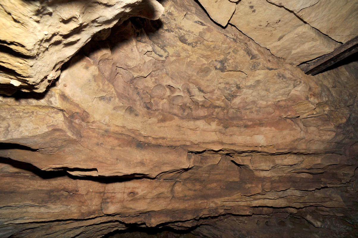 Fig. 1 – Vue de la paroi Nord-Est de la grotte, rotonde avec gravures et peintures parmi des cupules et becs rocheux (cliché D. Vigears).