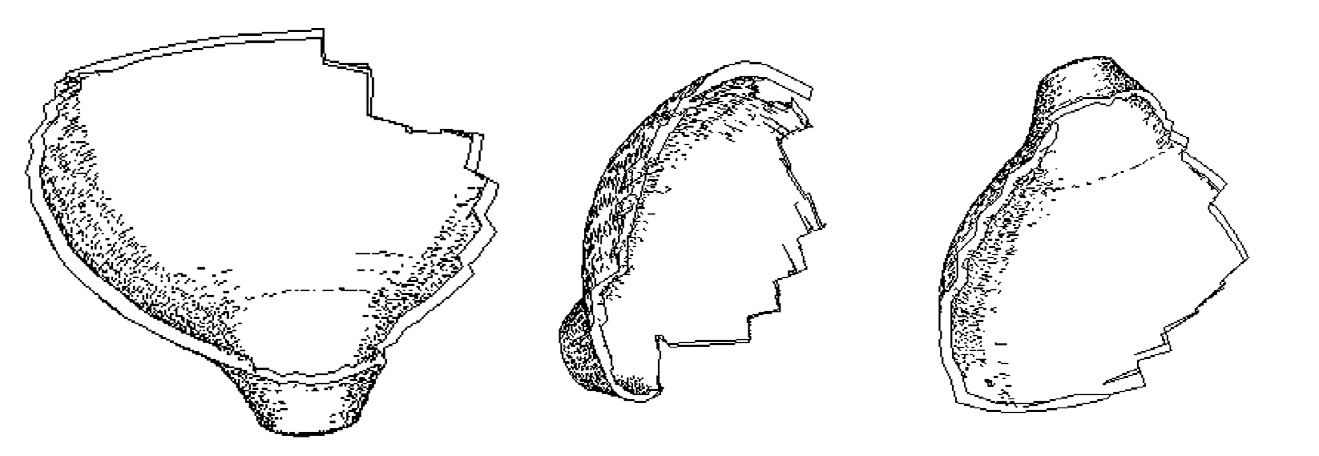 Fig. 5 – Représentation 2D automatiquement produite à partir de la simulation 3D du dessin archéologique traditionnel. Différents points de vue du même artefact en 3D.