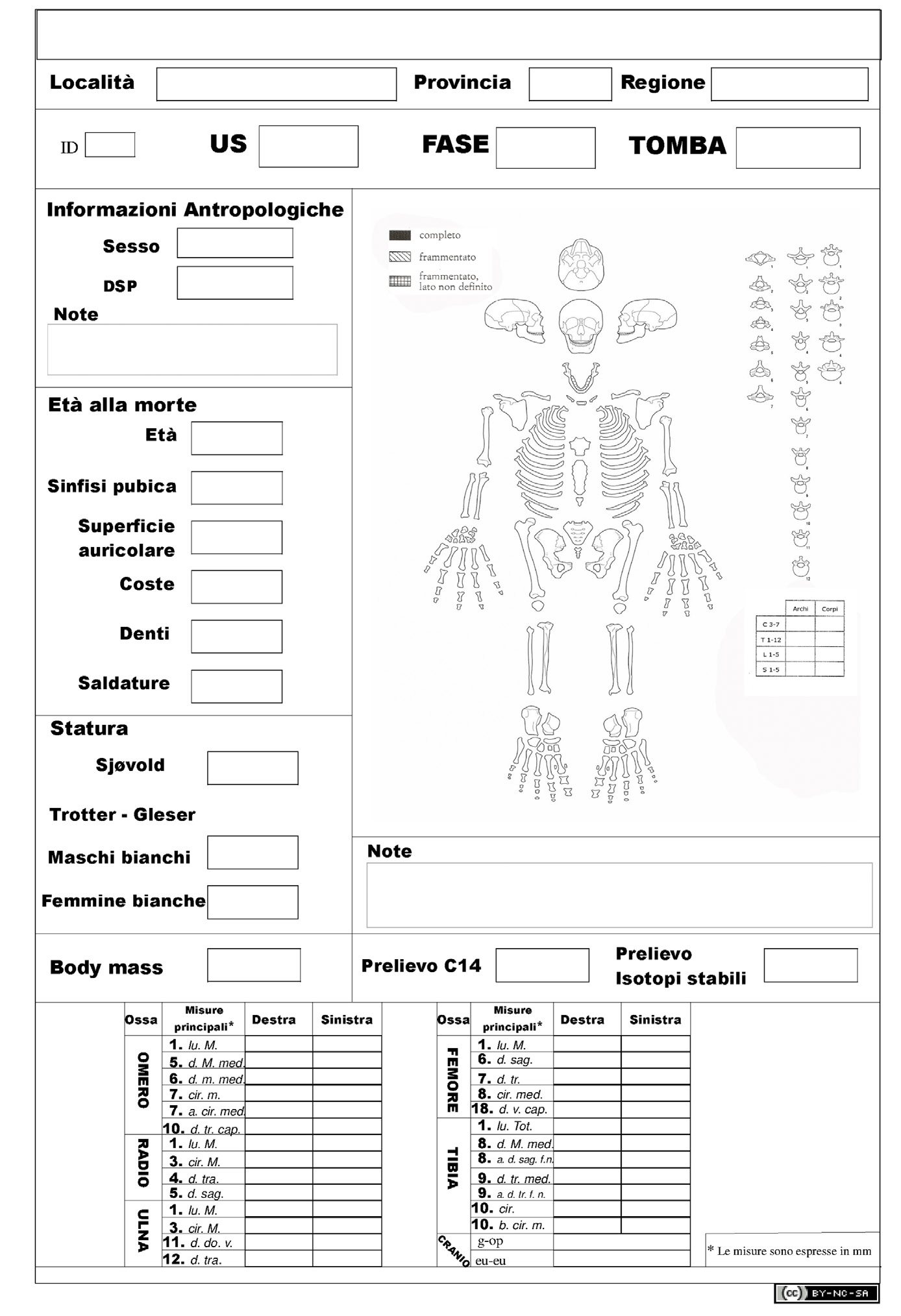 Fig. 1 – Biological form for adults.