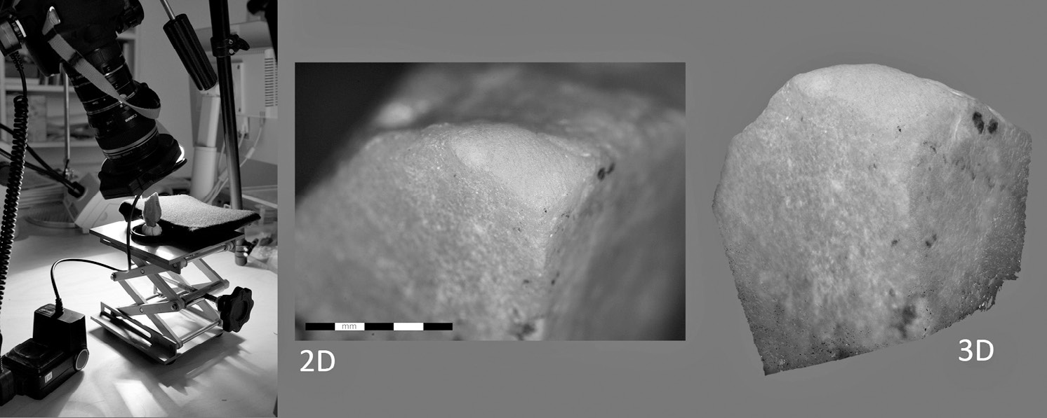 Fig. 1 – Modélisation photogrammétrique avec Photoscan de l’extrémité émoussée d’un pic en quartzite, Olga Grande, Vallée do Côa, Portugal. Musée du Parc archéologique de Foz Côa. Echelle millimétrique.