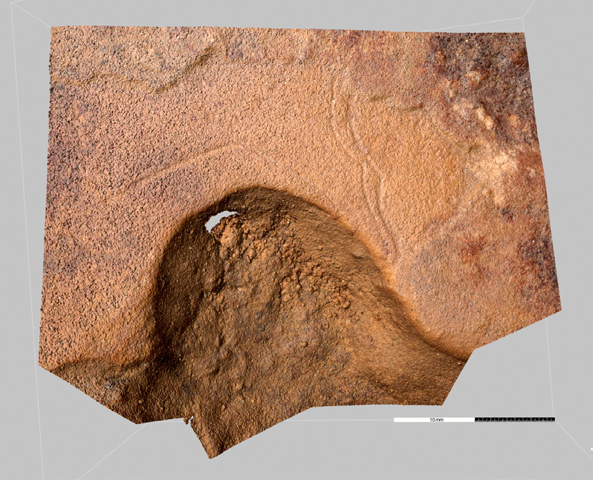 Fig. 2 – Modélisation photogrammétrique d’une gravure de bovidé, grotte des Deux ouvertures, France. Vue du nuage de 12 058 786 points. Echelle centimétrique.