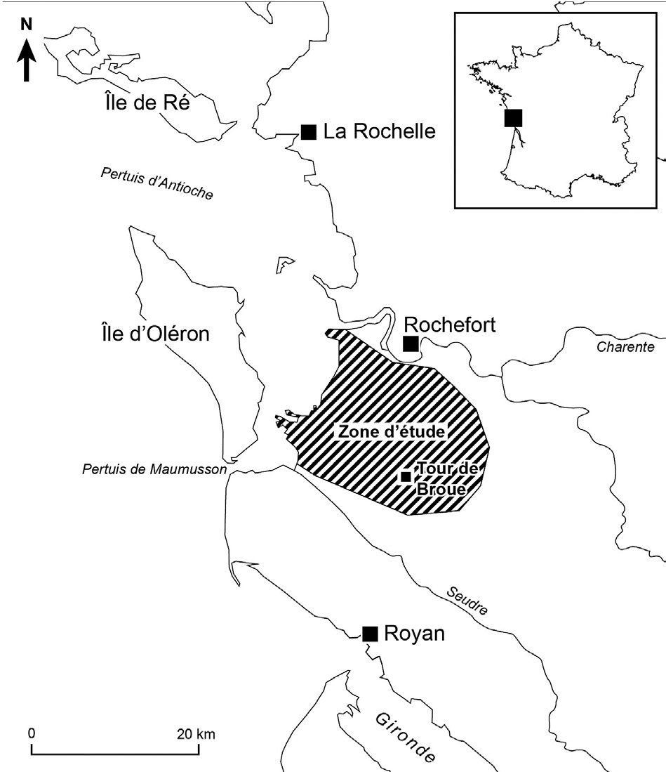 Fig. 1 – Situation de la zone d’étude: les marais de Brouage.