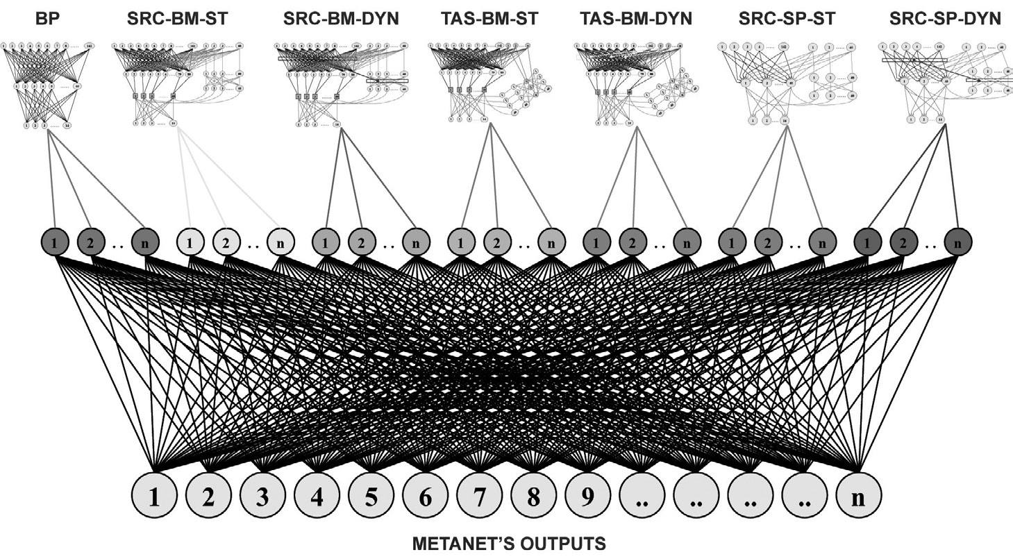 Fig. 8 – Metanet Topology. Between 1994 and 2008 Semeion researchers conceived and developed a series of Meta-Classifiers based on some common traits and called them “Meta-Nets.” All Meta-Nets have typically similar neural network architecture; certain input nodes are the whole outputs of all composing classifiers, and certain output nodes are the output classes of the classification problem (Buscema, Tastle, Terzi 2013).