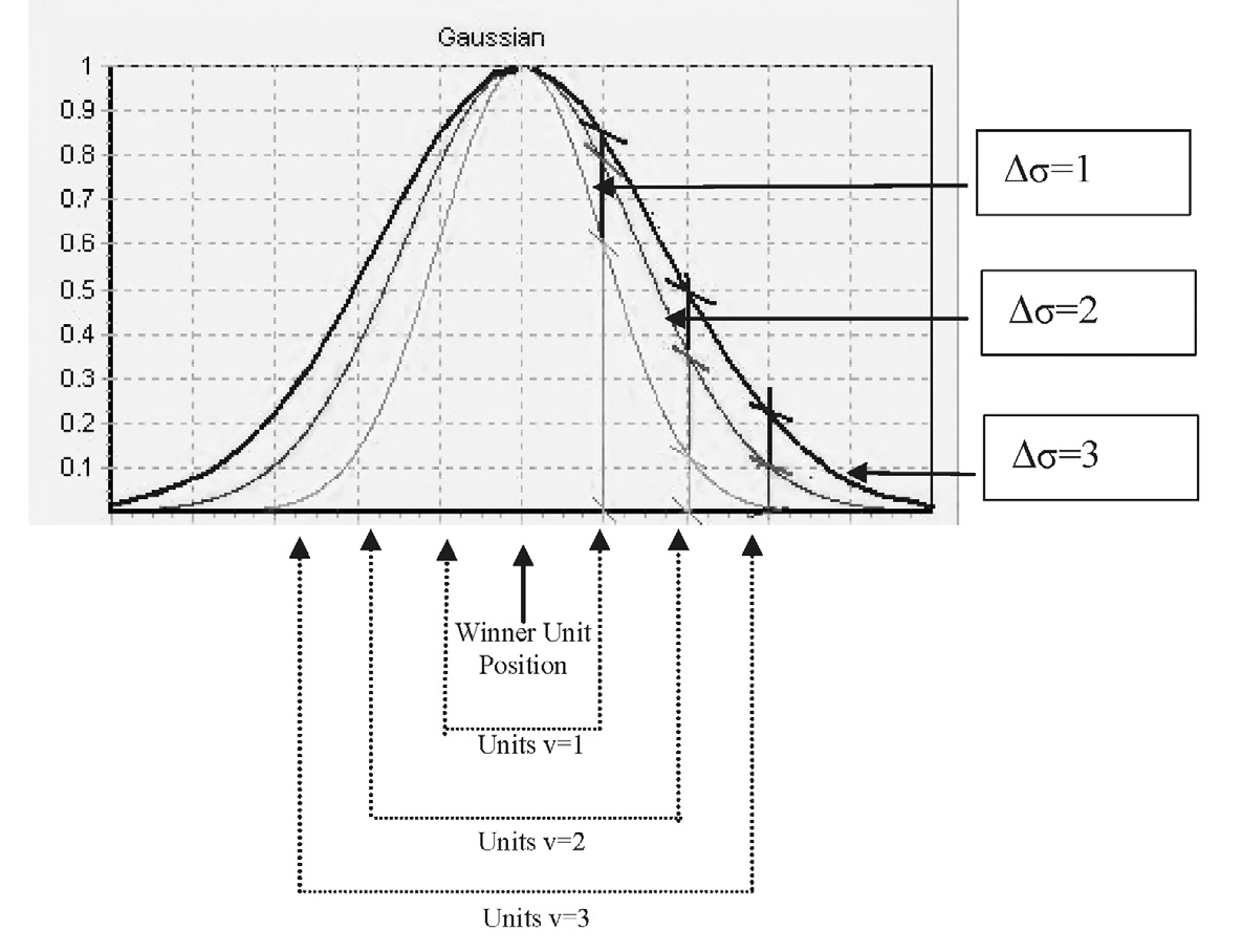 Fig. 13 – The illustration shows how, when the parameter ??(1, 2, 3) changes – parameter that determines the correction curve of the neighborhood function – the number of units that are part of the neighborhood and the extent of the correction (v1, v2, v3) made on the weights also change.