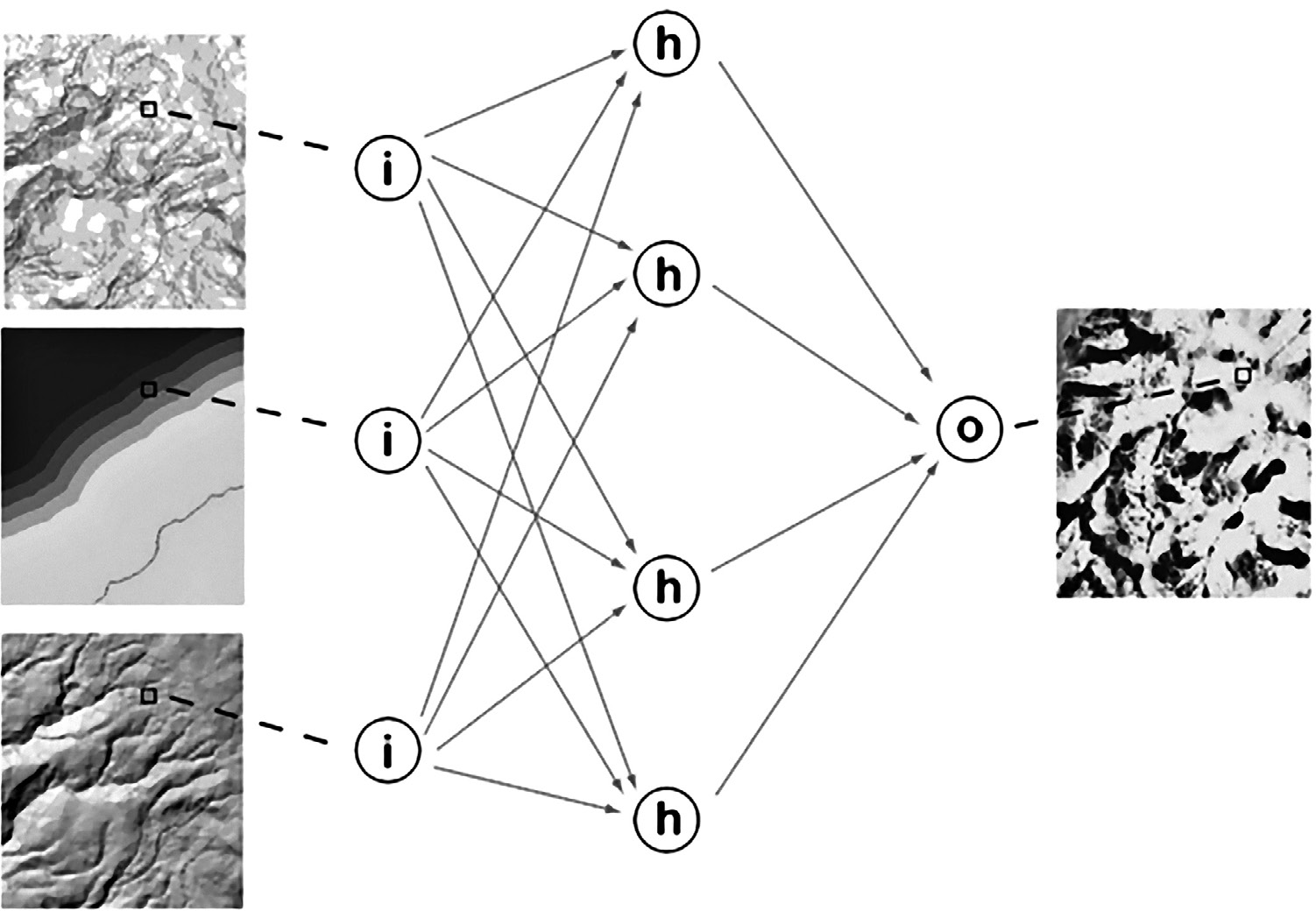 Fig. 1 – Example of ANN with three input raster layers and one output map.