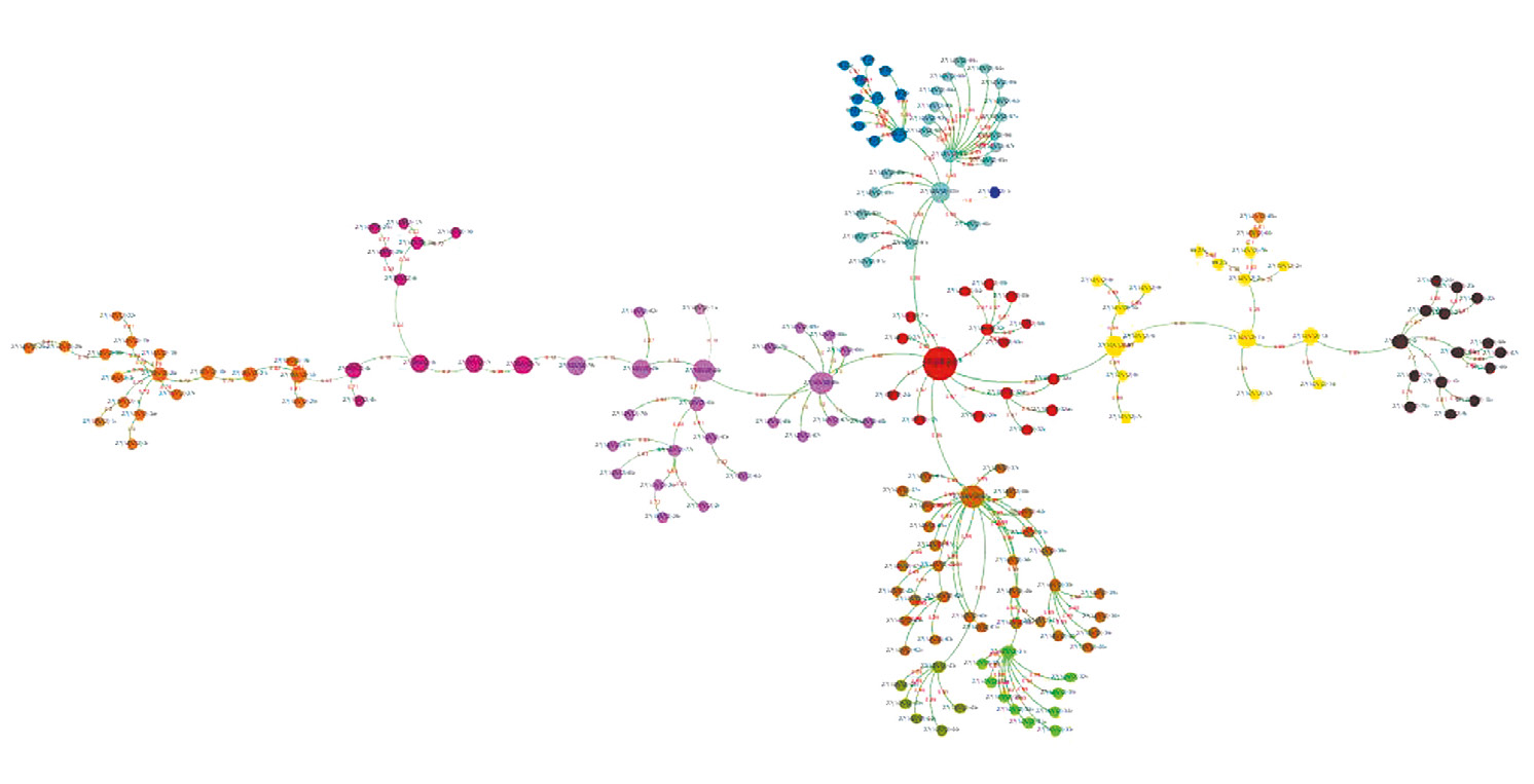 Fig. 7 – A possible chronological visualisation of Auto-CM graph.