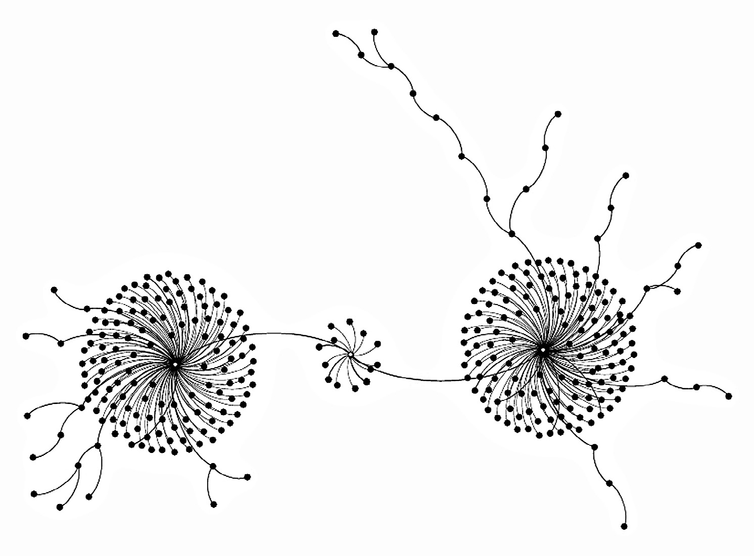 Fig. 5 – MST of the signs dataset. White nodes are related to: position on the obverse (right); Tablet T_1 (centre); position on the reverse (left).