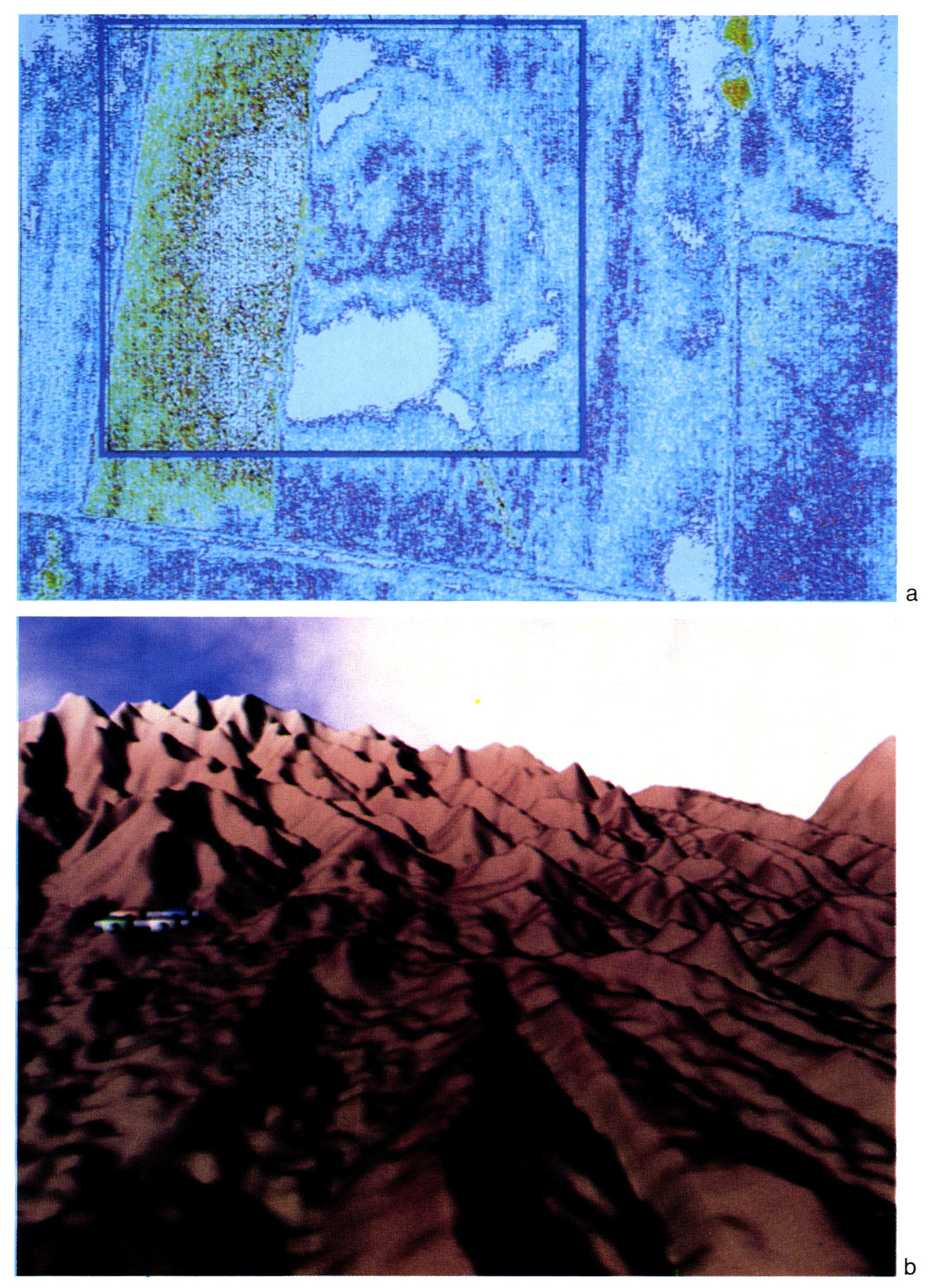 Tav. IV a: Elaborazione della foto aerea della terramara di Gaione (PR). b: Texture mapping di un’immagine satellitare relativa ad una regione del Colorado.