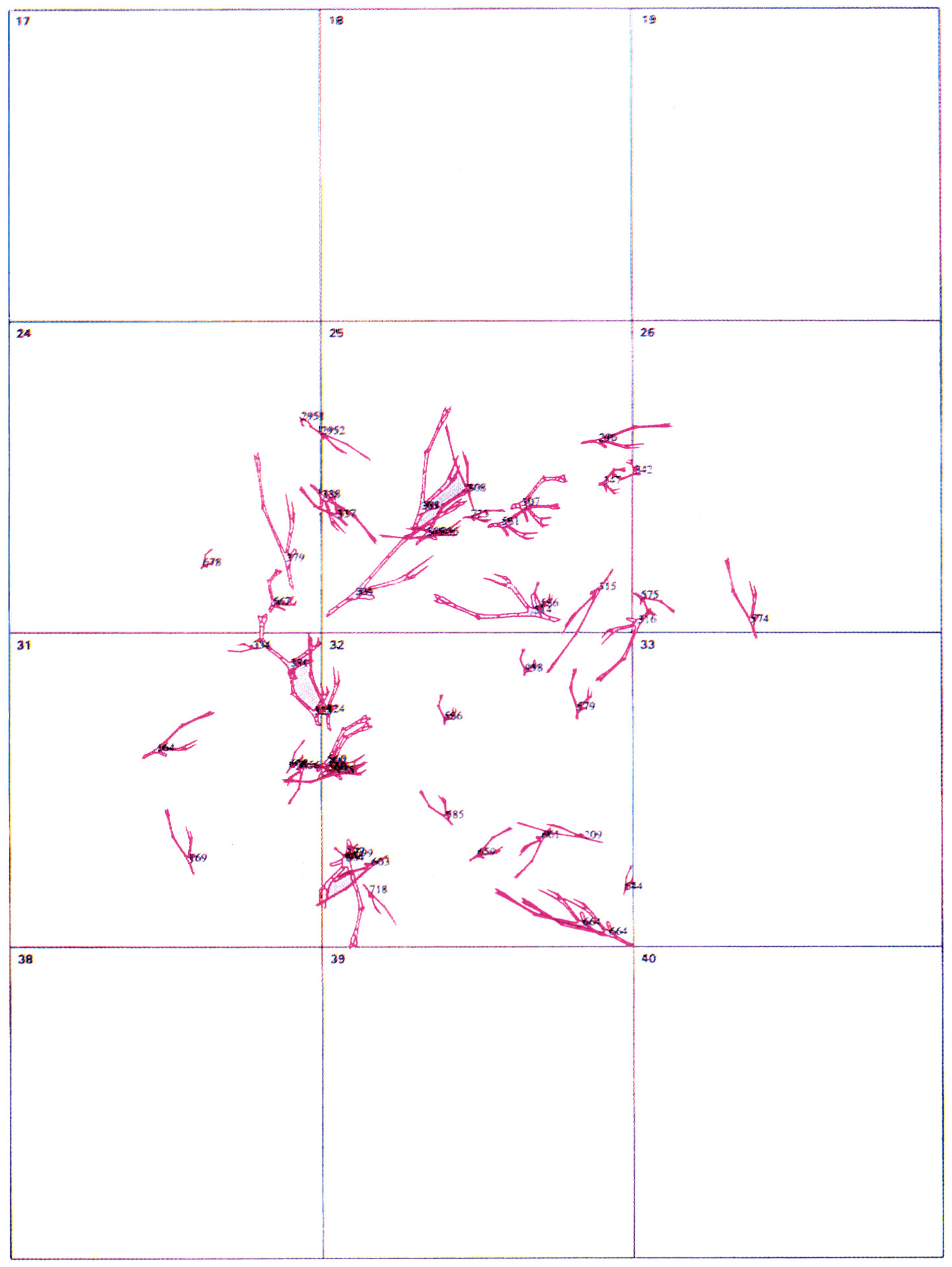 Tav. XIII - Visualisation des bois de renne de la cabane n. 1 de Mezine.