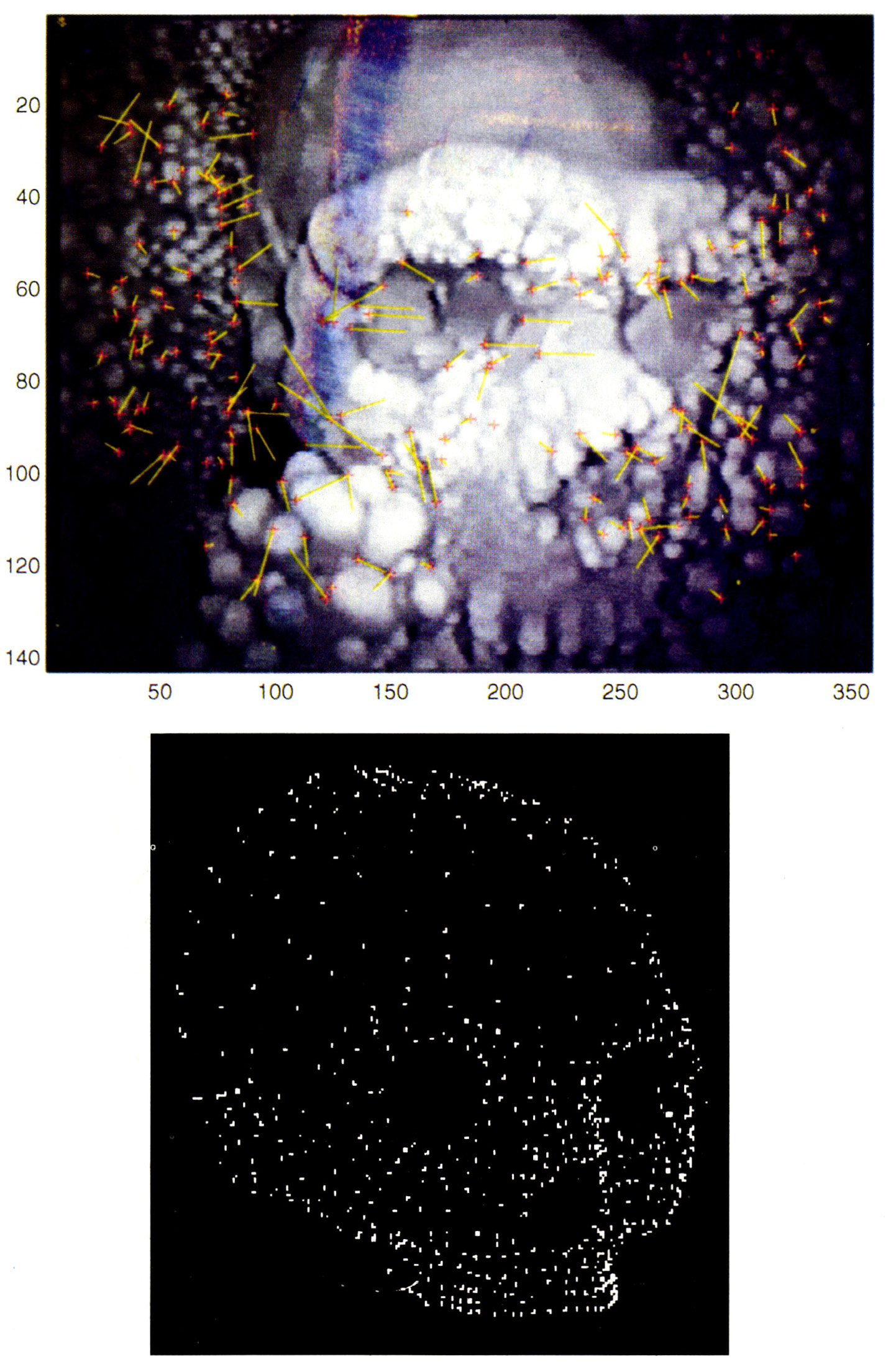 Tav. XIV - a: Identificazione delle features affidabili e relativa georeferenziazione.
b: Caso di studio teorico su sequenze random di un cranio: modello tridimensionale a nuvola di punti.