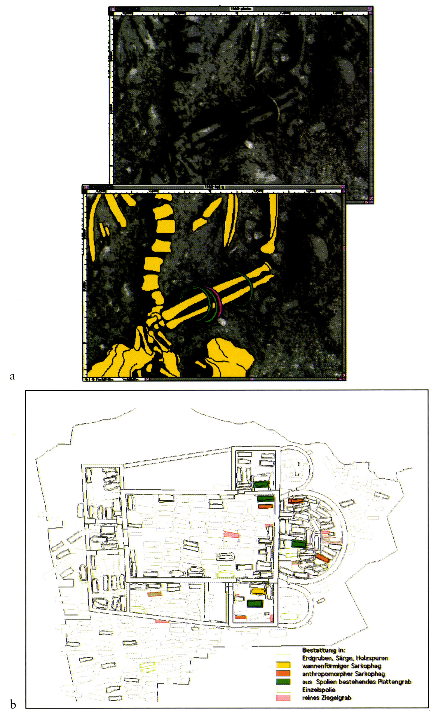 Tav. XVI - a: Une, fois redressée et mise à l’échelle l’image numérique permet le détourage détaillé de tous les éléments visibles sur le plan de référence (Archeotech SA ­ Archéodunum SA). b: Répartition des types de sépultures en fonction du sexe et de l’âge (Alexandra Antonini).