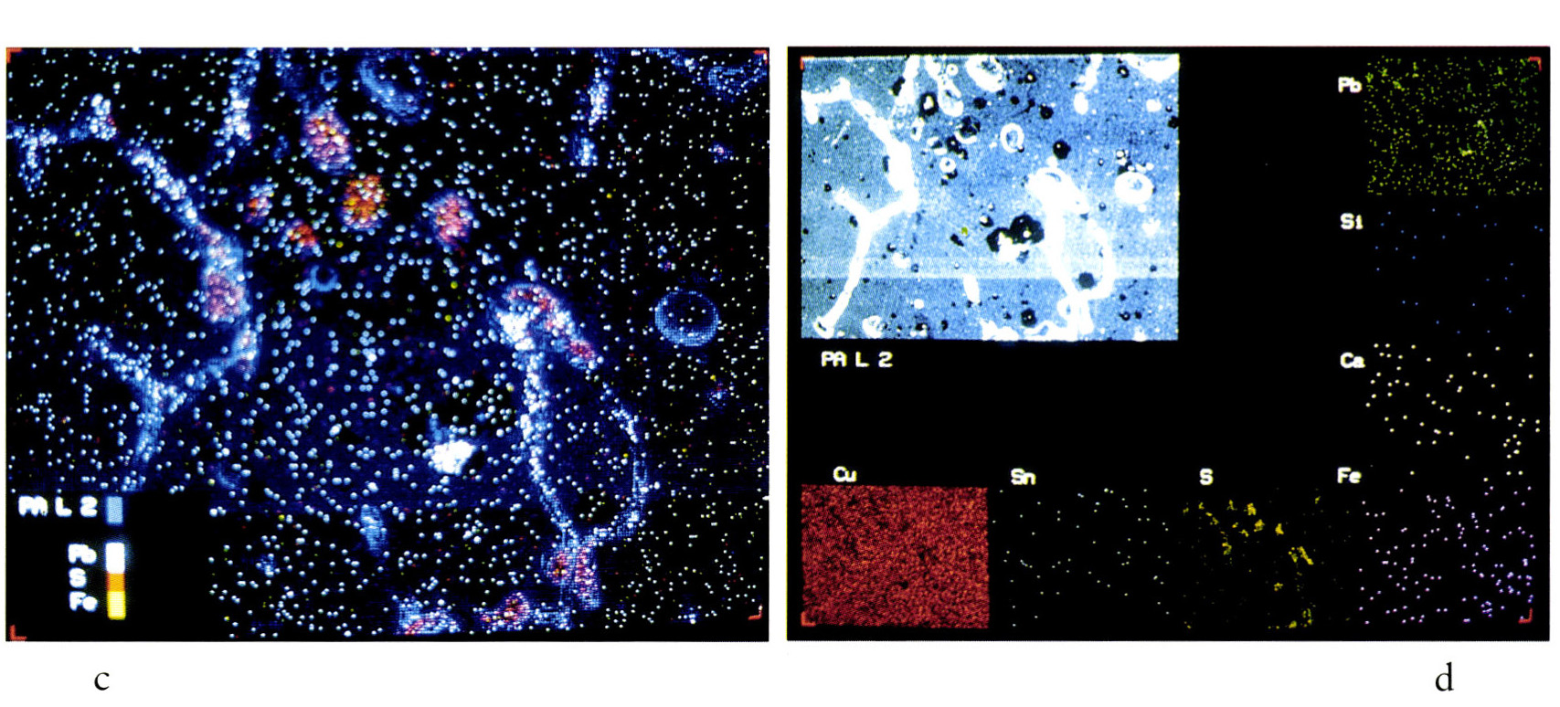 Tav. XX - c: Immagine di microscopio elettronico. d: mappa di elementi prodotta con microscopio elettronico a scansione.