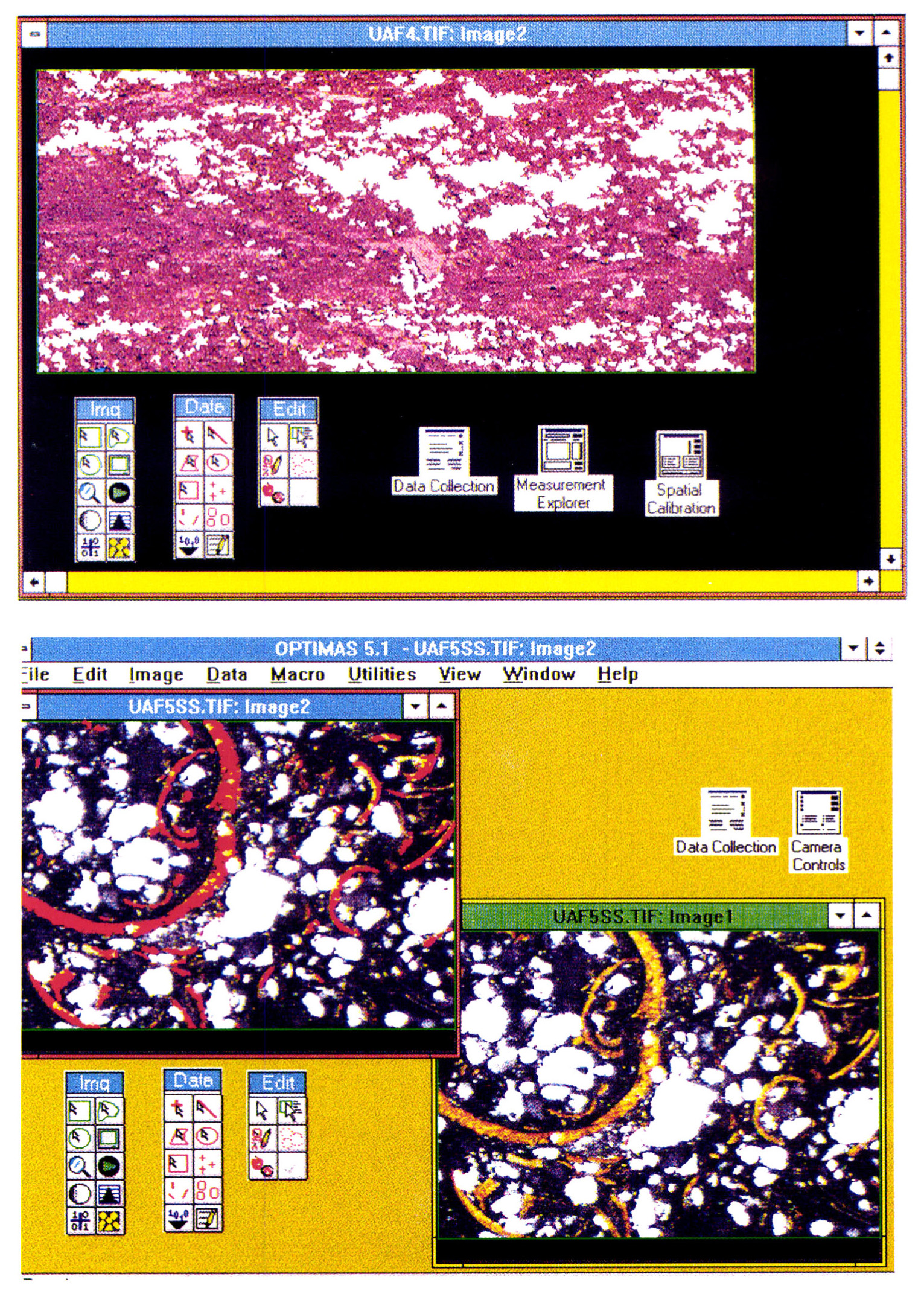 Tav. XXVII - Elaborazioni al calcolatore mediante software OPTIMAS 5.1a. a) Immagine fotografica della parete di scavo relativa alla macro unità 1. Vengono tracciati i confini delle aree con soglia colorimetrica, associabile alla presenza di vegetali e carboni. b) Campione in sezione sottile della macro unità 1. Vengono tracciati i confini delle aree con soglia colorimetrica, associabili alla presenza di vegetali.