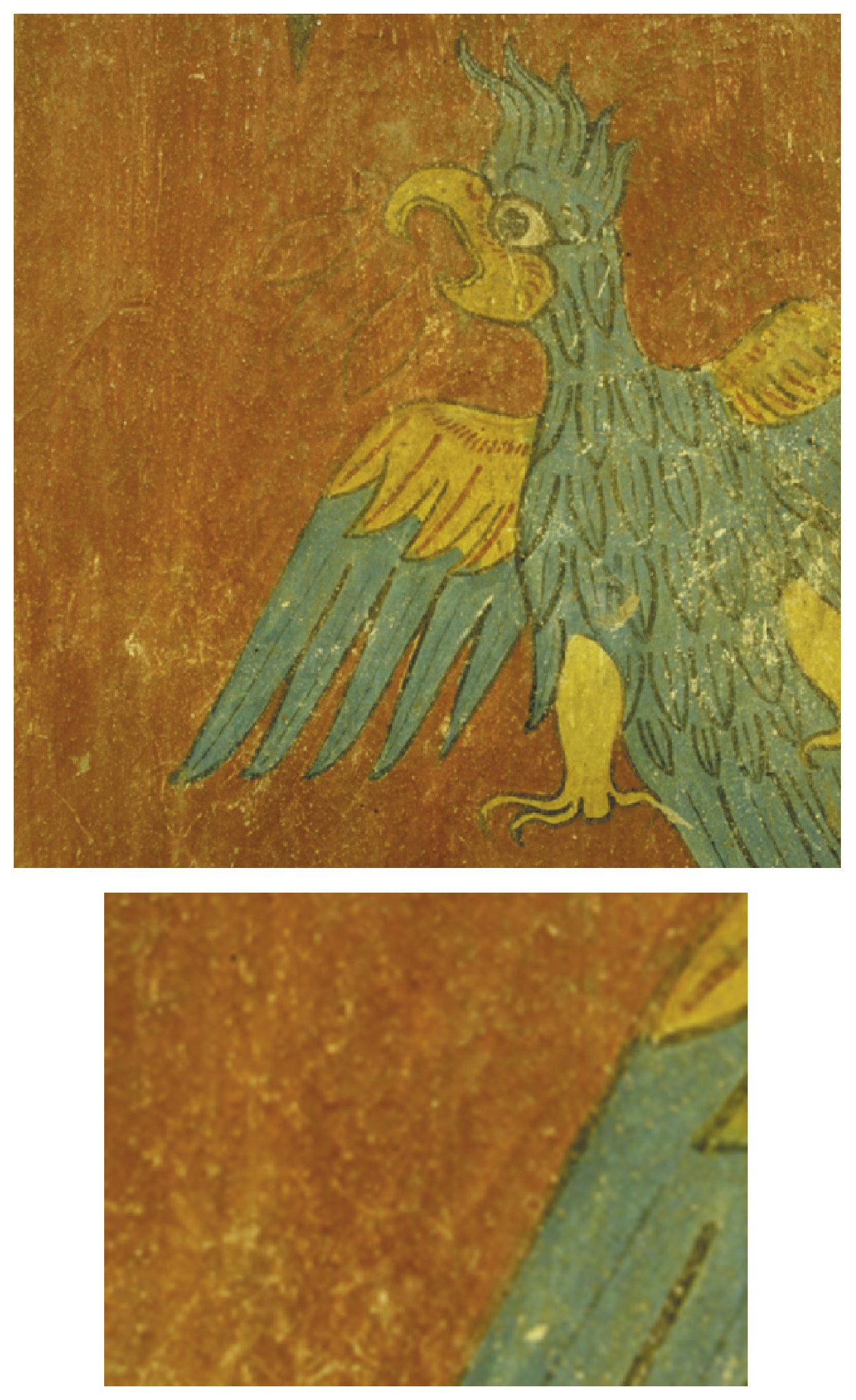 Tav. X – a: Quetzal painted on the wall of Porch A. Cacaxtla circa 800 AD.
b: Close-up showing the variation in the pixel value and pitted texture of the material..